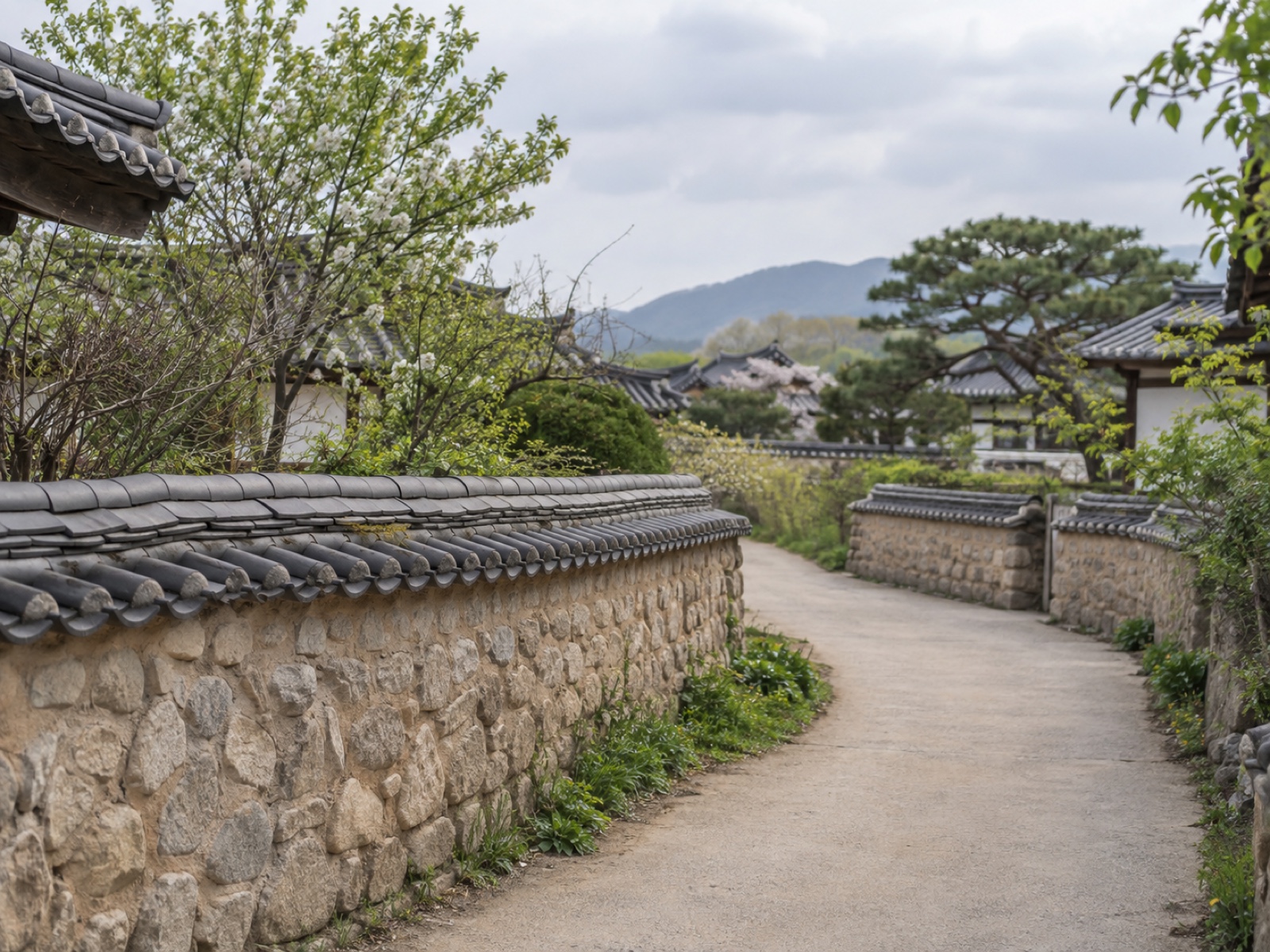 경주의 낮은 돌담 사이로 이어지는 조용한 골목길